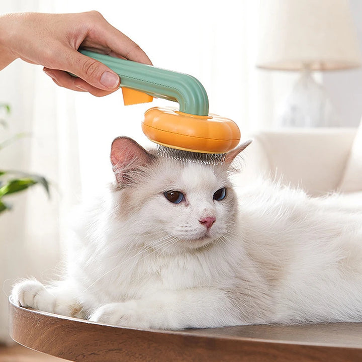 Pumpkin Pet Moisturizing Brush