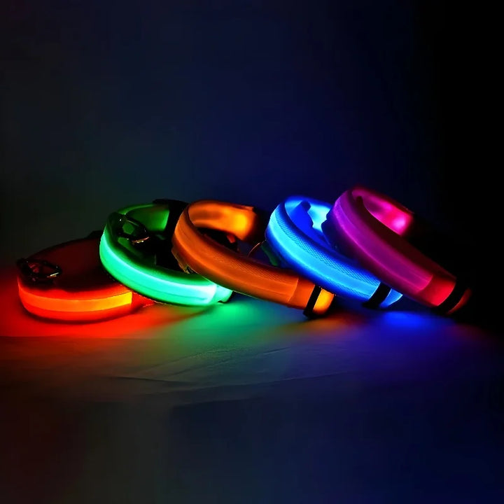 LED Night Safety Collar