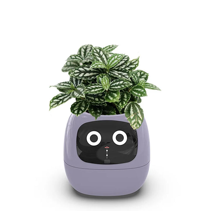 Smart Plant Pot