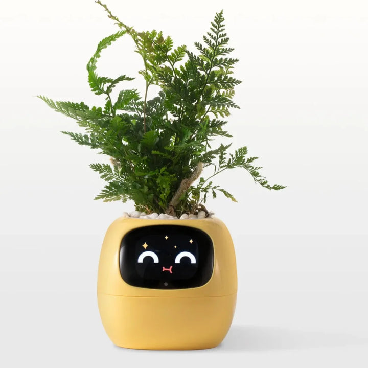 Smart Plant Pot